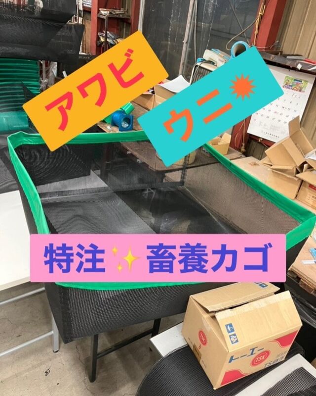 北海化成ジャンボソリ - 北海道の生活雑貨